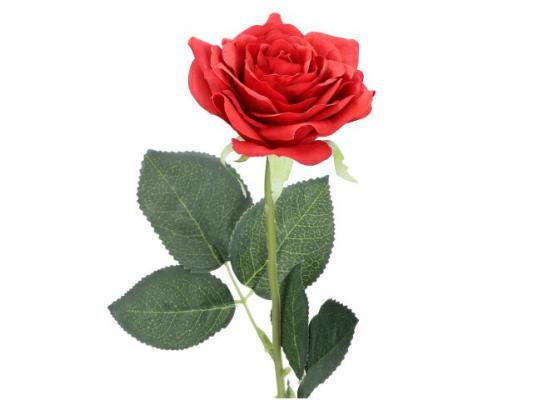 Seide Pfingstrosen Rosen Hortensien